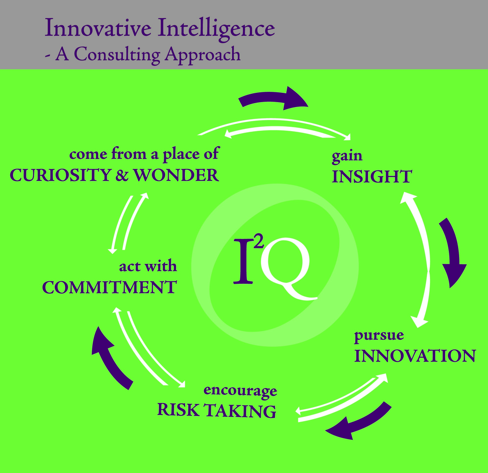 Innovative Intelligence Approach