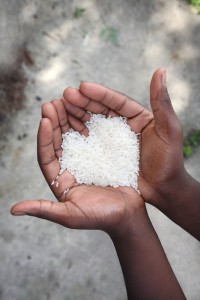 poverty - hands holding rice in heart shape