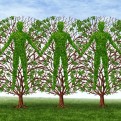 Pruning Shears and Leadership Courage