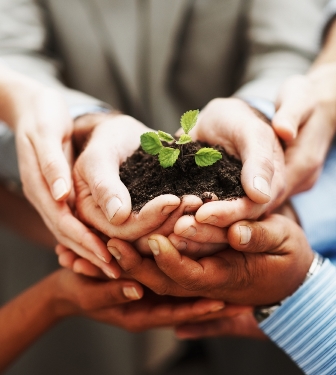 Plant -plant growing in several people's hands