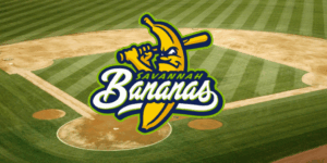 Leadership Lessons from Savannah Bananas