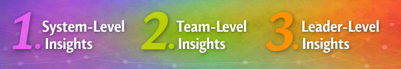 Organizational Assessment insights at system-level, team-level and leader-level