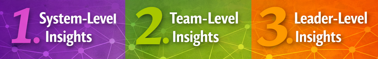 Organizational Assessment insights at system-level, team-level and leader-level
