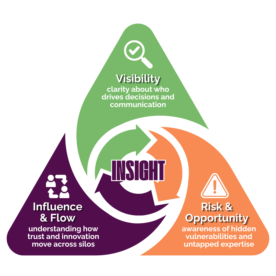 Organization Network Analysis insights